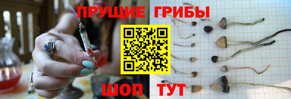 Галлюциногенные грибы мухоморы  Вход с VPN  Егорьевск  Галлюциногенные грибы MAGIC MUSHROOMS 
